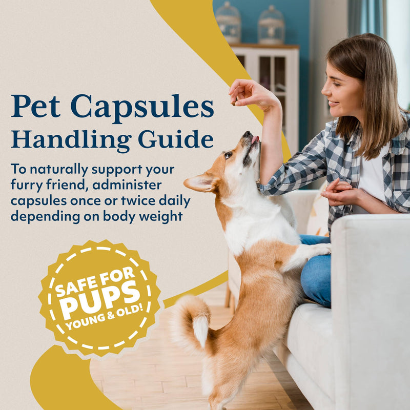 Ayush Pet Skin Plus, Neem Supplement for Healthy Skin and Coat, Supports Gut and Immunity, 90 Capsules - PawsPlanet Australia