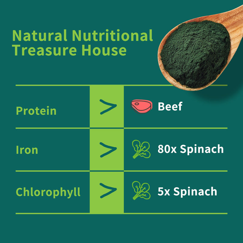[Australia] - Chlorella Powder Natural- Chlorophyll Powder, Supports Immune System & Liver Function, Keep Youth, Vegan, Rich in Vegan Protein and Vitamins, 8 oz. 8 Ounce (Pack of 1) 