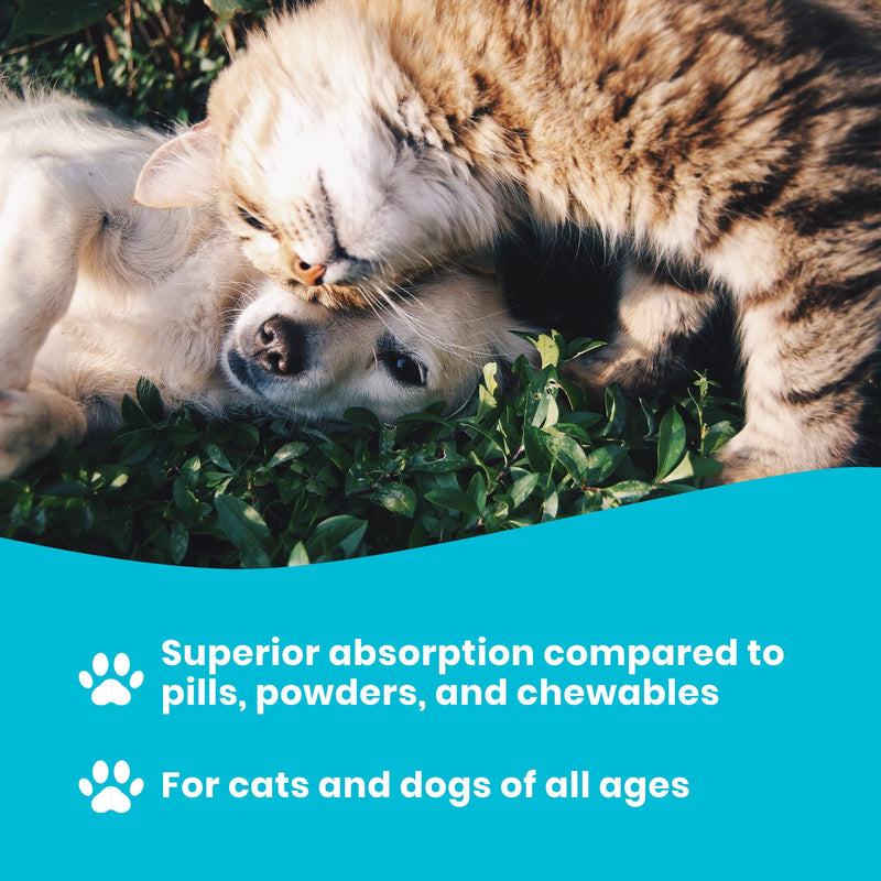 Omega 3 Fish Oil for Dogs and Cats | Premium Quality Omega 3 Supplement for Dogs and Cats (16 Ounce) 16 Ounce - PawsPlanet Australia