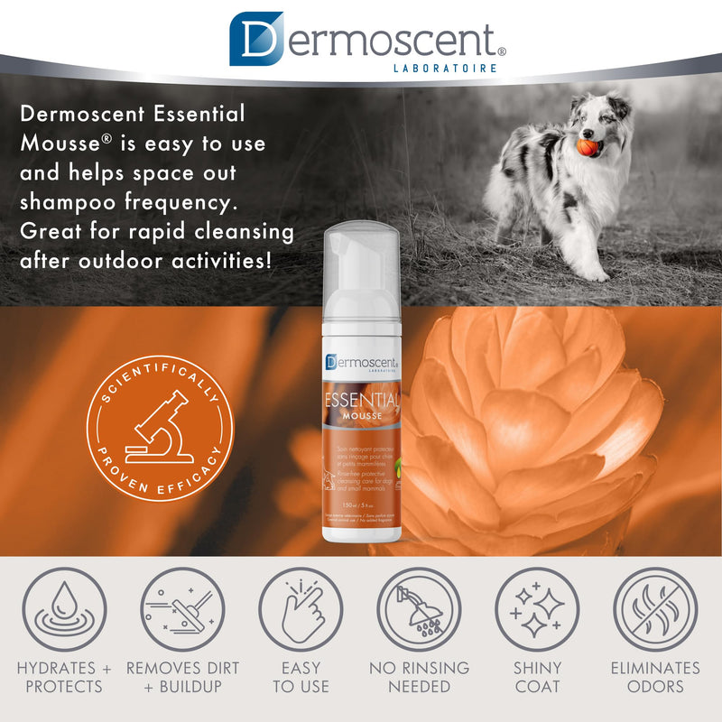 Dermoscent Essential Mousse - Dry Shampoo for Dogs & Small Mammals - Rinse Free Foam to Cleanse Skin & Coat - Odour Control for Smelly Pets - Soap Free - 150ml - PawsPlanet Australia