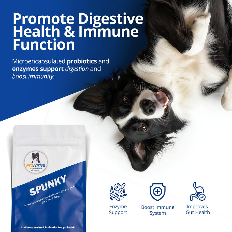 PROTHRIVE Spunky Digestive Supplement - Probiotics, Digestive Enzymes, Joint Support for Cats and Dogs | Gut Health | Pet Probiotics for Dogs and Cats - 1lb - PawsPlanet Australia