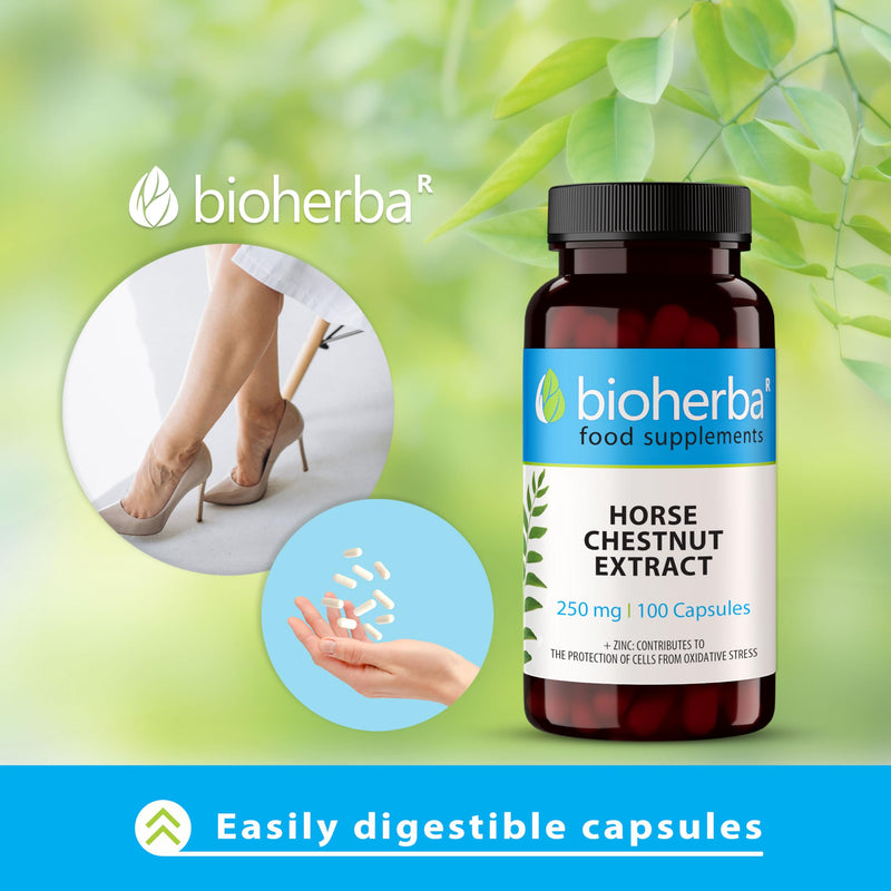 Horse Chestnut Extract 250 mg – 300 Capsules | Traditional Herbal Supplement for Vein Health and Daily Circulation Support 300 pcs