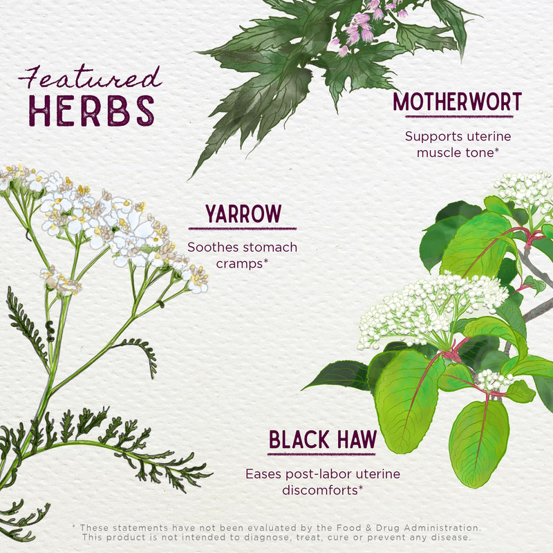 WishGarden Herbs AfterEase Drops, Postpartum Cramp & Contraction Ease, 2oz | Cramp Bark, Black Haw Bark, Motherwort & Yarrow, First 24-48 Hour Recovery, FairWild Certified, Vegan 2 Fl Oz (Pack of 1)