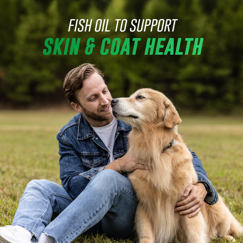 Nutramax Welactin Omega-3 Fish Oil Dog Supplement, Skin & Coat, Liquid 16oz 16 oz (480 mL)