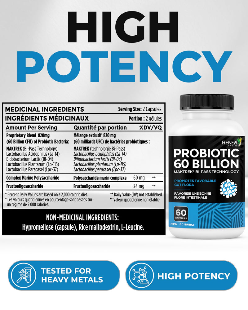 Renew Actives Probiotic Supplement for Digestive Health 60 Billion CFU per 2 Capsules - Advanced Formula with Prebiotic Benefits - Supports Gut Flora Balance & Wellness - Made in Canada - 60 Capsules