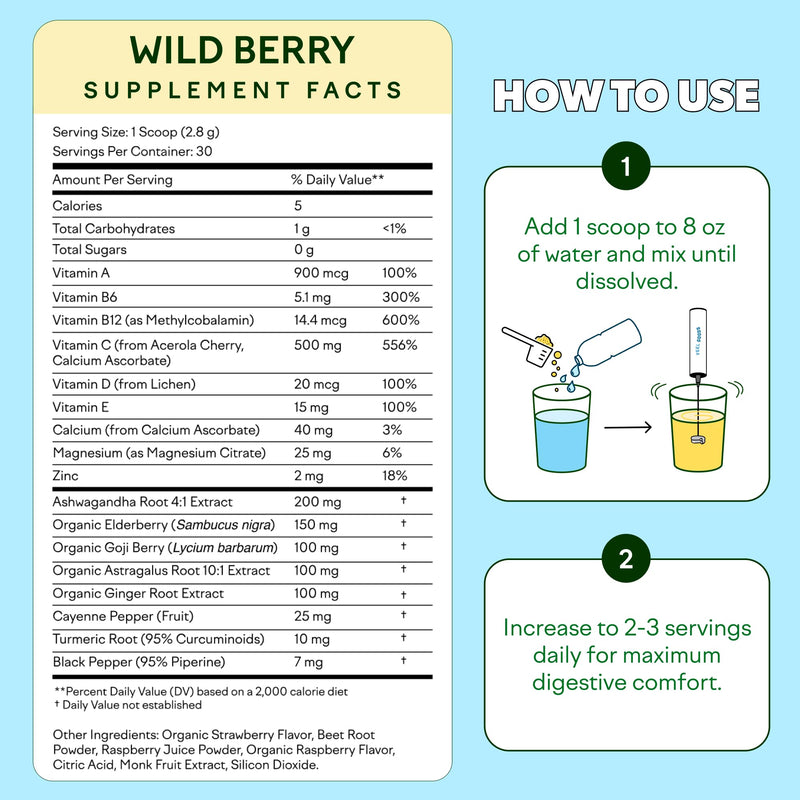Feel Goods Immunity Icon, Vitamin C Immune Support Powder, 30 Servings | Immunity Plus, 500mg Vitamin C, Elderberry, Ginger, Turmeric, Vitamins for Immune Health, Sugar-Free, Caffeine-Free Drink Mix 30 Servings (Pack of 1) Wild Berry