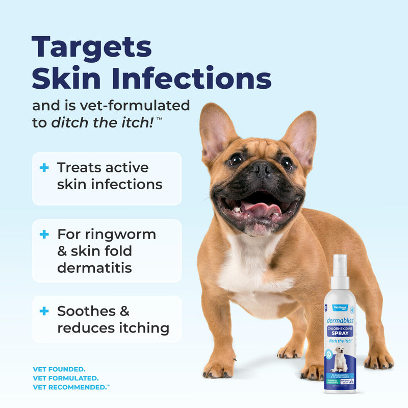 Vetnique Dermabliss Hot Spot Treatment for Dogs - Antiseptic Medicated Chlorhexidine Spray - Vet Recommended for Skin Infections, Hot Spots & Irritation (Hot Spot Spray, 8oz) - PawsPlanet Australia