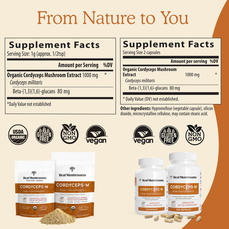 [Australia] - Real Mushrooms Supplement Capsules - Cordyceps Mushroom Powder Rich in Beta Glucans - Mushroom Pills Cordyceps for Energy and Performance - Vegan, Non-GMO, No Grain Fillers, 120 ct Cordyceps Capsule 120 Count (Pack of 1) 