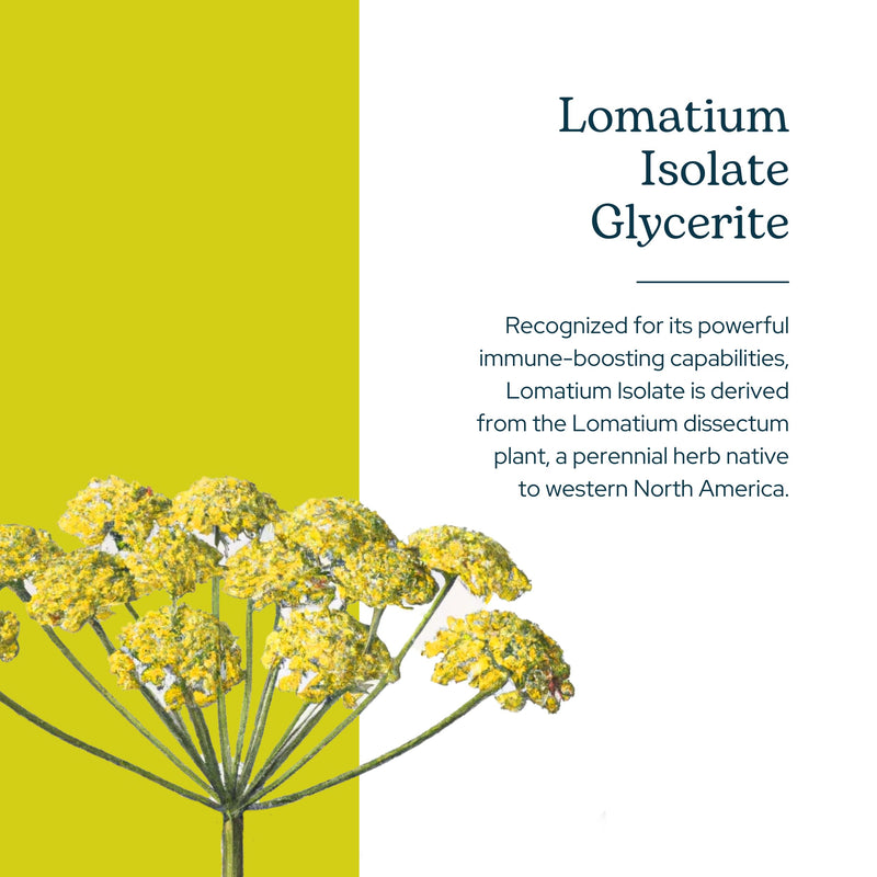 Eclectic Herb - Lomatium Isolate Glycerite | Natural Herbal Supplement | Immune & Lung Support | Highly Concentrated, Alcohol-Free, Organic, Vegan, Non-GMO, Gluten Free (0.27 fl oz | 8 ml)