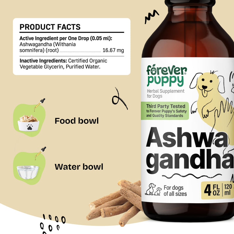 Ashwagandha Drops for Dogs - Calming Care with Ashwagandha Root Tincture - Liquid Alternative to Calming Chews for Dogs' Composure & Relaxation - Canine Vitamins and Supplements - 4 oz 4 fl oz - PawsPlanet Australia