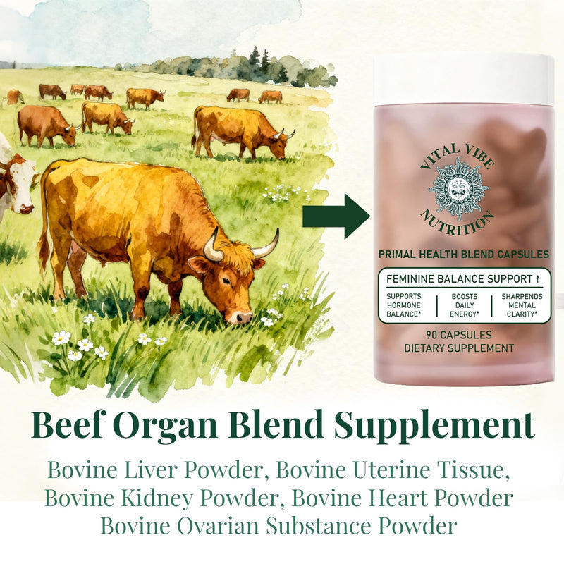Grass-Fed Beef Organ Supplement for Women – Hormone Balance & Daily Energy Support – Primal Health Blend with Liver, Kidney & Ovarian Extract – 90 Capsules