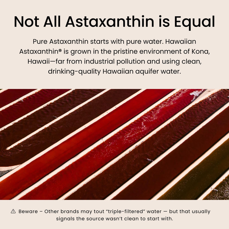 Nutrex Hawaii BioAstin Astaxanthin 4 mg Softgels – Natural Astaxanthin Formula with Vitamin E, 120 softgels, one Capsule Every Day