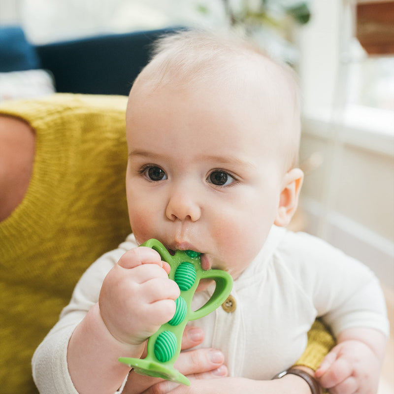 [Australia] - Dr. Brown's Peapod Teether and Training Toothbrush, Soft and Safe for Baby Gums and First Teeth, BPA Free, 100% Silicone, 3m+ Peapod Toothbrush/Teether 