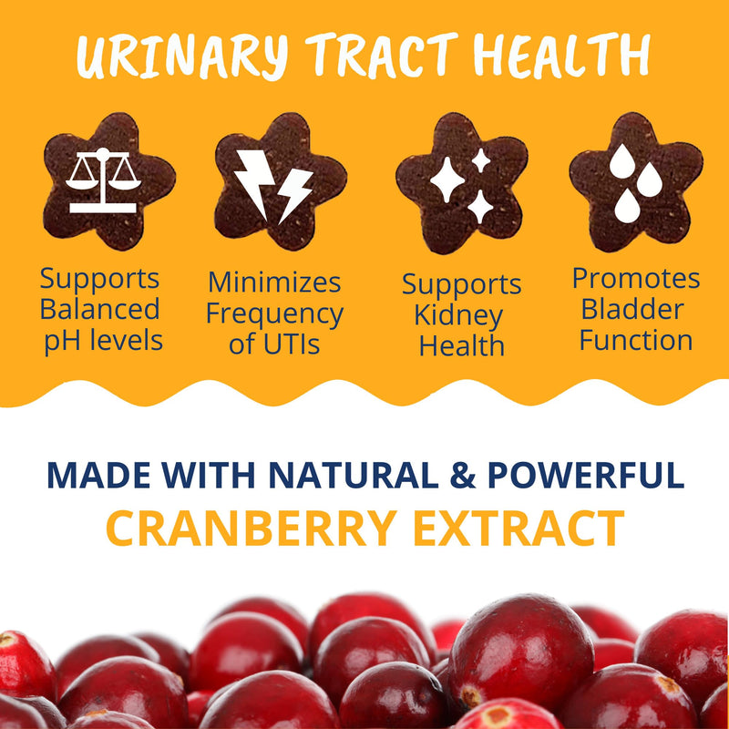 Under The Weather Pet Urinary Tract Support Chews for Cats | Promote Healthy Urinary Function in Cats | 60 Star Shaped Soft Chews - PawsPlanet Australia