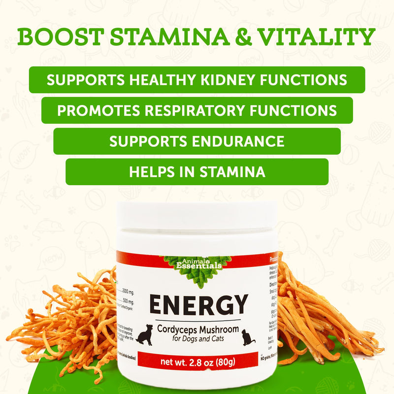 Animal Essentials Energy Cordyceps Mushroom Supplement for Dogs & Cats - Support Stamina & Endurance, Healthy Respiratory & Kidney Functions, Antioxidant, Mushroom Powder Extract - 2.8 Oz (Pack of 1) - PawsPlanet Australia