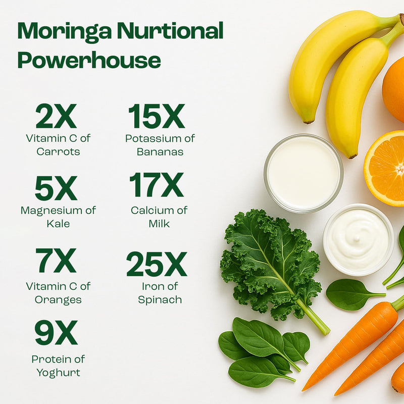 Moringa Oleifera + Leaf Nutritional Supplement | Immune System Support and Energy Boost | 30 Day Supply | 90 Capsules