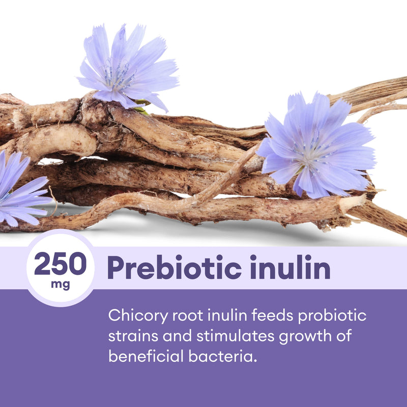 [Australia] - Physician's CHOICE Prebiotic-Probiotic - Multi-Strain Probiotics & Synergistic Prebiotics -Designed for Digestive Health, Supporting Gut Microbiome - Powerful PrePro for Gut Health - for Women & Men 30 Count (Pack of 1) 
