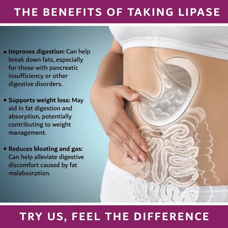 Lipase DR (Delayed Release) 50mg | Digestive Enzyme Supplements for Gut Support | 90 Vegan Friendly Delayed Release Capsules UK Made | 3 Months Supply