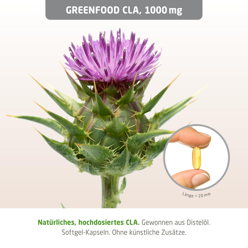 [Australia] - CLA, 1000 mg, 240 capsules, high dosage, conjugated linoleic acid from safflower oil - without artificial additives, without genetic engineering 240 pieces (pack of 1) 