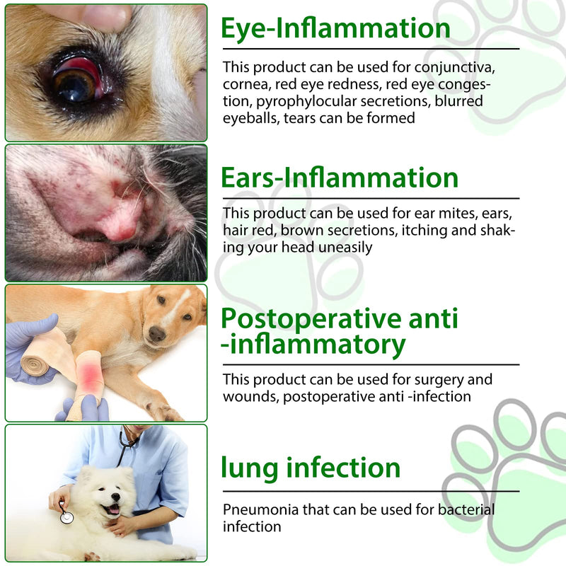 Dog Antibiotics Antibiotics for Dogs Dog Eye Infection Treatment Dog Cough Treatment Dog Cough Treatment 2.02fl.oz (60ml) 60ml - PawsPlanet Australia
