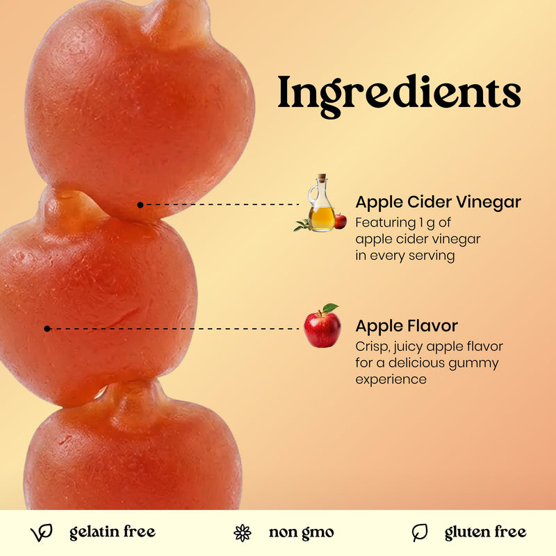 VITA GLOBE Apple Cider Vinegar Gummies 500mg with Mother, B6, B12 & Folate | Non-GMO, Vegan Daily Wellness Chewables, Digestive & Immune Support, 60 Gummies