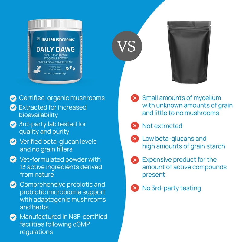 Daily Dawg Mushroom Extract Powder Support - 265 oz Bulk Supplement Dog Vitamins with Real Mushrooms Lions Mane, Cordyceps Mushroom, Turkey Tail, Reishi Shiitake - PawsPlanet Australia