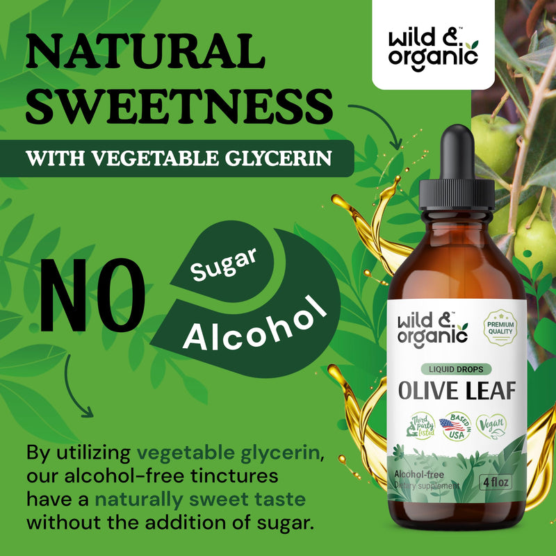 [Australia] - Olive Leaf Extract Liquid - Immune Support Supplement w/ Olive Leaf Extract - Alcohol-Free Olive Tree Extract for Antioxidant Support - Leaf Olive Drops - Olive Leaf Pure Tincture - 4 oz 4 Fl Oz (Pack of 1) 