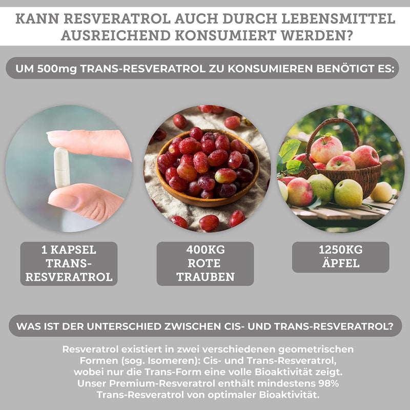 [Australia] - QIDOSHA® Resveratrol capsules, rated VERY GOOD, high-dose resveratrol with piperine for increased bioavailability, 500 mg trans resveratrol per capsule, 100% plant-based from Japan. Knotweed 
