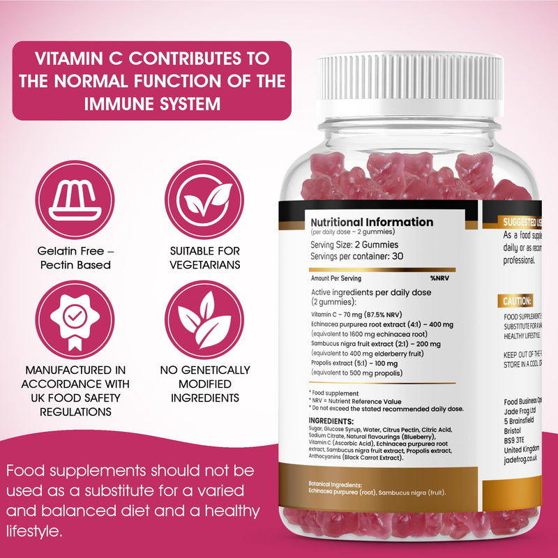 Botanical Gummies, 60 Blueberry Flavoured Gummies with Echinacea, Elderberry and Vitamin C, 30 Day Supply