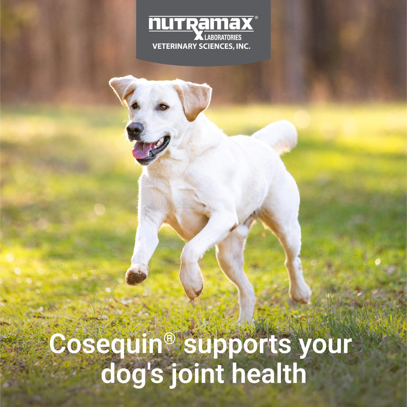 Nutramax Cosequin Joint Supplement for Dogs, Chewable Tablets, 132ct | Glucosamine + Chondroitin for Dogs with MSM, Supports Healthy Joints, All Breeds & Sizes, All Ages 132 count
