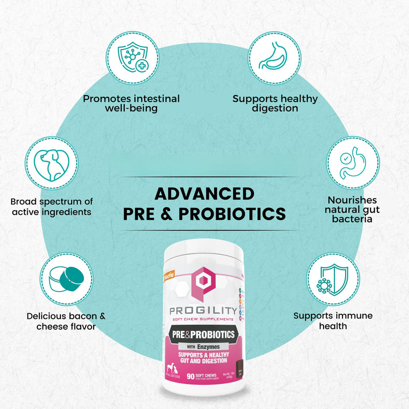 Nootie Progility Pre & Probiotic Supplement, Digestive Aid Supplement for Dogs, 90 Soft Chews per Container - PawsPlanet Australia
