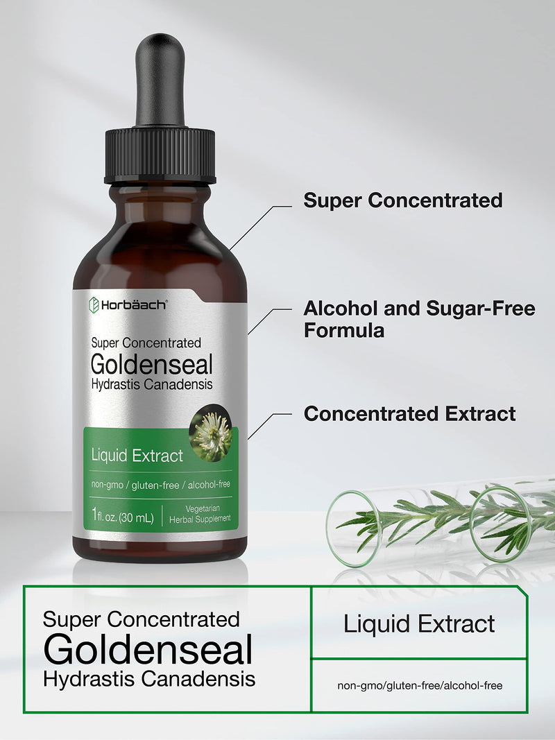 Horbäach Goldenseal Root Extract Liquid | 1 fl oz Tincture | Super Concentrated | Alcohol Free | Vegetarian, Non-GMO, Gluten Free