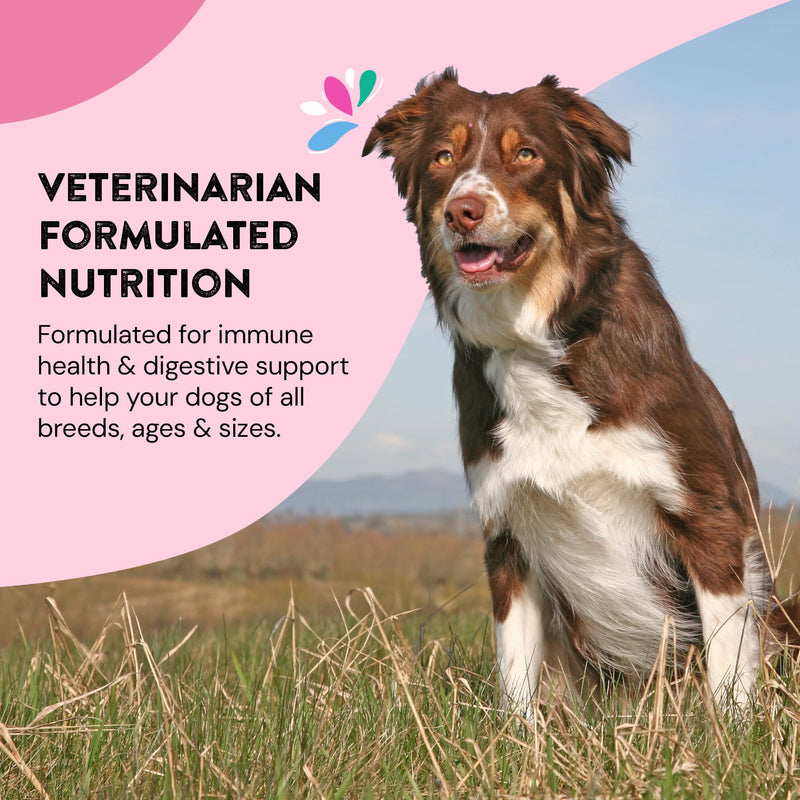 Daily Wellness Supplements for Dogs | Probiotic & Prebiotic Benefits with Fish Oil & Seaweed to Keep Your Dog Beaming All Day Long | All Breeds and Sizes | 120 Count Daily Wellness - PawsPlanet Australia
