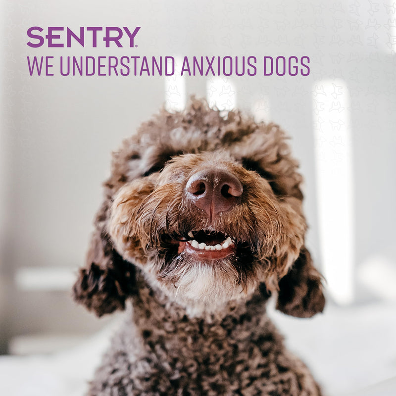 SENTRY Calming Ointment for Dogs, Fast-Acting Releif for Anxious Dogs, 1.5 oz - PawsPlanet Australia
