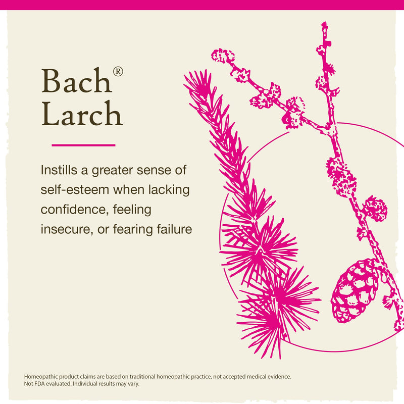 [Australia] - Bach Original Flower Remedies, Larch for Confidence (Non-Alcohol Formula), Natural Homeopathic Flower Essence, Holistic Wellness and Stress Relief, Vegan, 10mL Dropper 