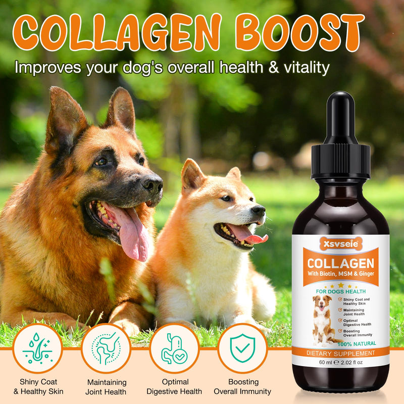 Liquid Collagen for Dogs Added Natural Pet Probiotics, Enhance Joint Support and Mobility, Collagen for Dogs Relieve Pet Skin Allergies, Itching, Supports Joint, Skin & Coat Health, All Breeds & Ages
