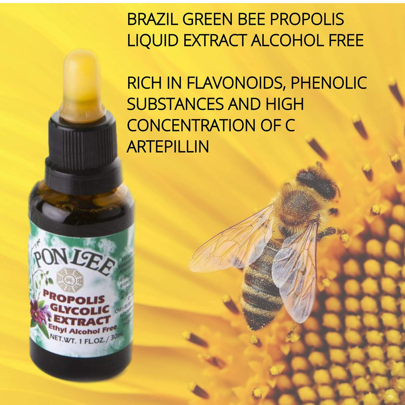 [Australia] - Pon Lee Brazil Green Bee Propolis Liquid Extract No Alcohol 30ML 1 Pack 1 Fl Oz (Pack of 1) 