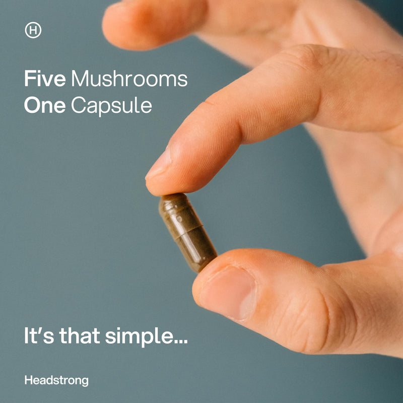 Headstrong 5 Mushroom Blend Capsules, 90% Active Compound Yield, Ultrasonic Triple-Extract, 30 Day Supply, 2,500mg per Capsule.