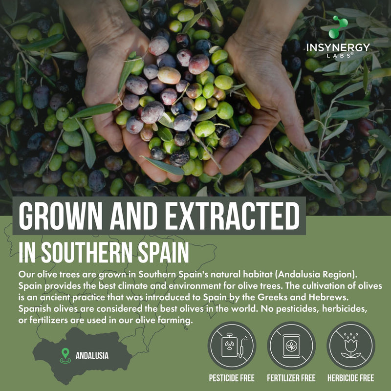 30,000MG Olive Leaf Extract 40% Oleuropein (Maximum MG on Amazon) Wild Grown Spain Ultra-Premium Grade Olive Leaf Extract Capsules - Olive Leaf Supplement 60 Vegan Capsules