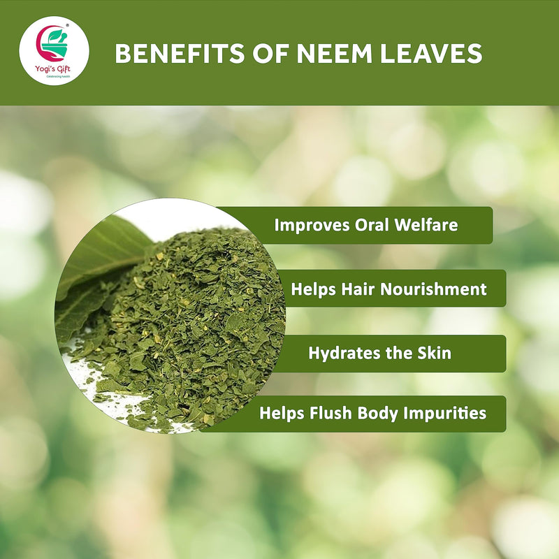 [Australia] - Neem Leaf 4 oz | 100% Natural Detox Neem Tea | Neem Leaves Cut and Sifted | Azadirachta Indica Leaf | Margosa Leaves | Non-GMO, Ethically Sourced | Nim Leaves | by Yogi's Gift® Neem Leaves 4 oz 