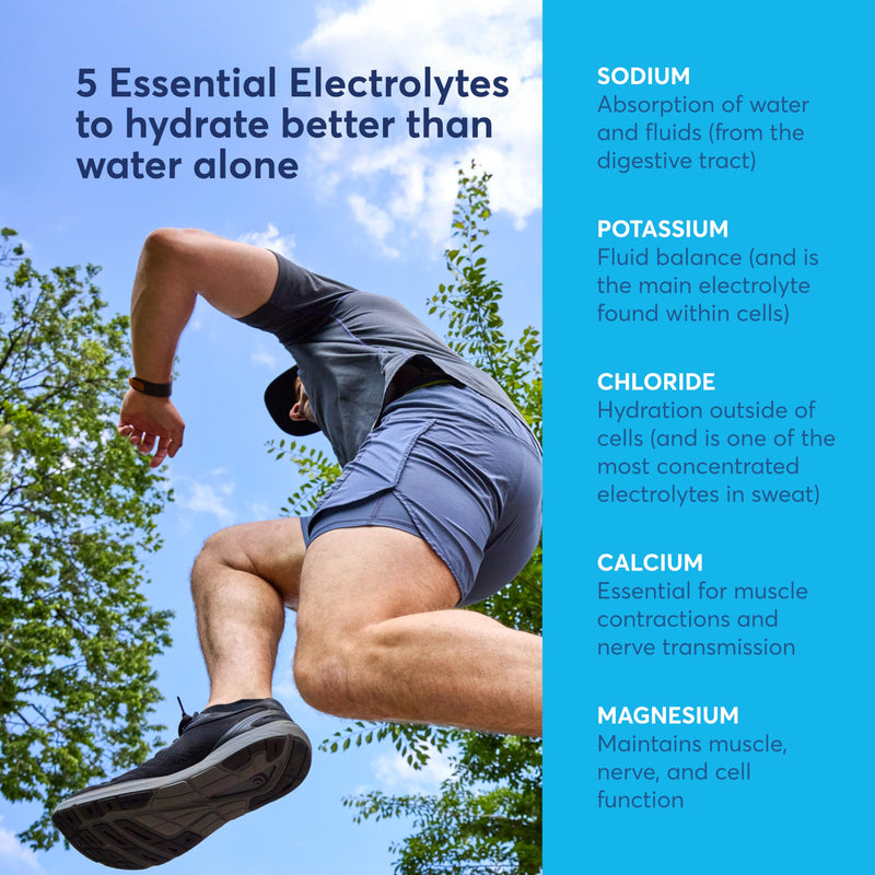 Nuun Sport Electrolyte Powder Packets Pink Lemonade, 16 Servings | with Magnesium, Calcium, Potassium, Chloride, and Sodium, Hydration Packets for On-the-Go, Gluten Free & Vegan 16 Count (Pack of 1)