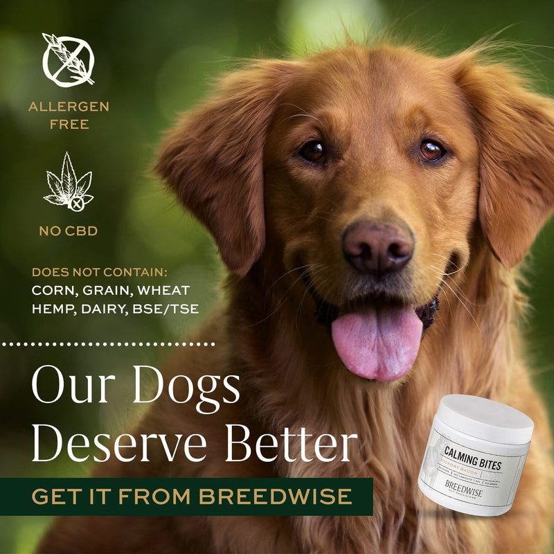 Breedwise Calming Bites All Natural Holistic Anxiety and Stress Reducing Hickory Bacon Flavored Dog Treats, 60 Count Jar - PawsPlanet Australia