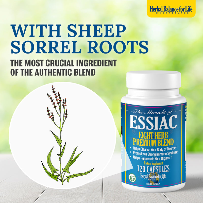 [Australia] - Organic Essiac Tea 8 Herb Capsules, 3199 mg per Serving - 120 Capsules, with Sheep Sorel Roots, More Potent 8-herb Essiac Tea Formula by Nurse Rene Caisse & Dr. Charles Brusch in 1950s 120 Count (Pack of 1) 
