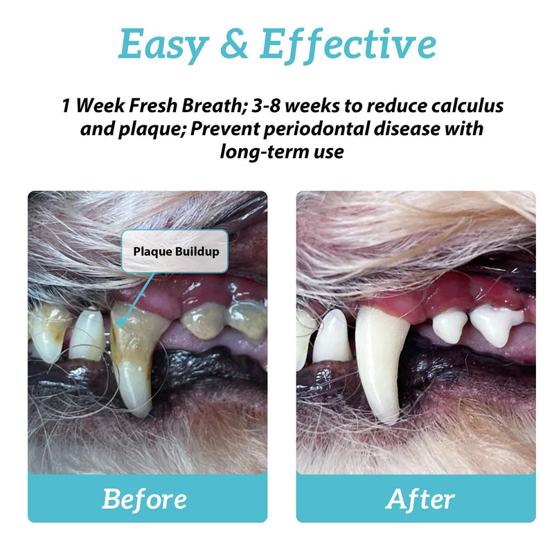 Natural Dog Dental Powder - Dog Teeth Cleaning Powder - Removes Plaque and Tartar - Dog Breath Freshener - Contains Probiotics to Fight Bad Breath (2.12 Oz) 2.12 Ounce (Pack of 1) - PawsPlanet Australia