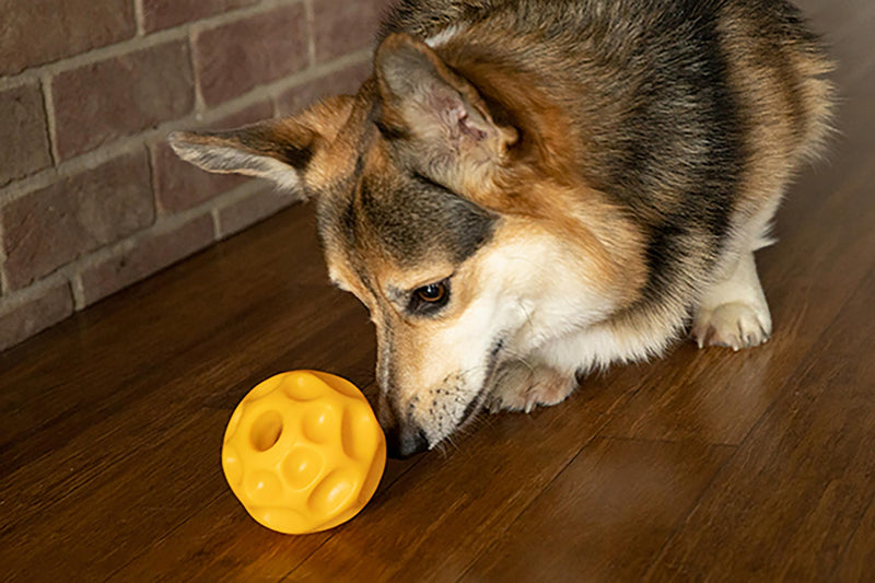 Starmark Treat Dispensing Tetraflex Dog Toy Large 1 - PawsPlanet Australia