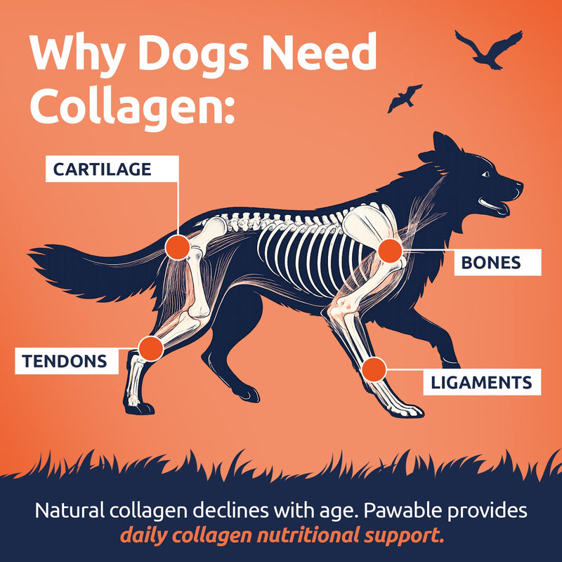 Collagen for Dogs | Dog Joint & Mobility Supplement with Hydrolysed Bovine & Eggshell Collagen | Supports Hips, Joints & Stiffness | Award-Winning | 225g Powder