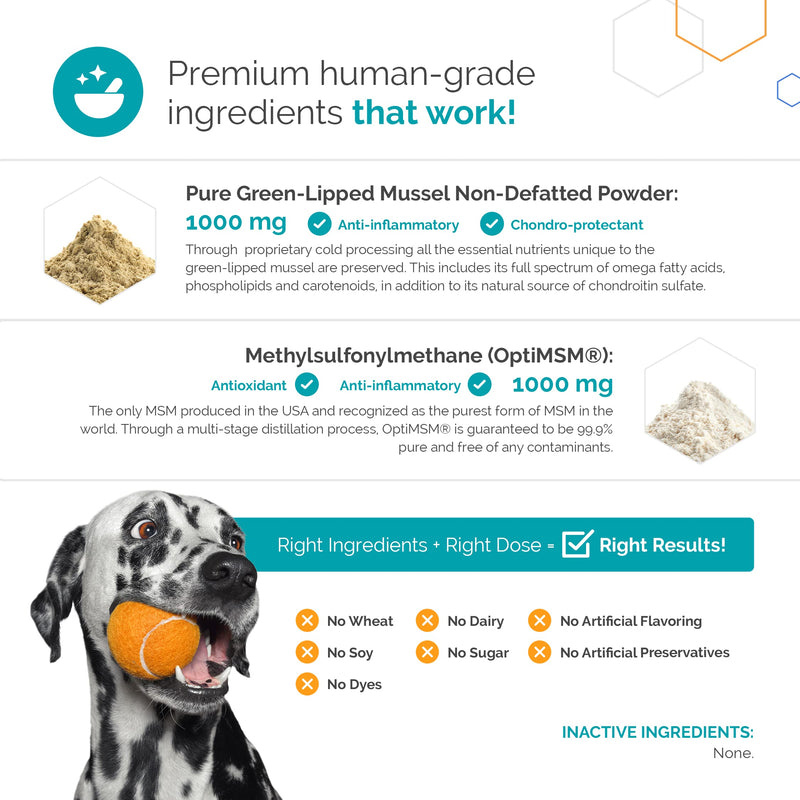 Flexerna Essentials Green Lipped Mussel Powder & MSM for Dogs - Natural Dog Joint & Mobility Support - Natural Glucosamine Chondroitin + Omega-3 Fatty Acids - Anti-Inflammatory - 3 Oz - PawsPlanet Australia