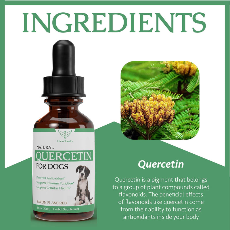 Quercetin for Dogs - Quercetin for Dogs Allergies - Dog Allergy Support - Dog Allergy - Quercetin - Quercetin Dog - Dog Allergies - Quercetin Supplements - Dog Allergy Relief - 1 fl oz - PawsPlanet Australia