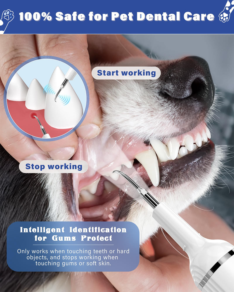 [Australia] - Plaque Remover for Teeth, Pet Tooth Brushing Kit, Dental Tools to Remove Plaque and Tartar, Safe for Dog and Cat, with LED Light, White 
