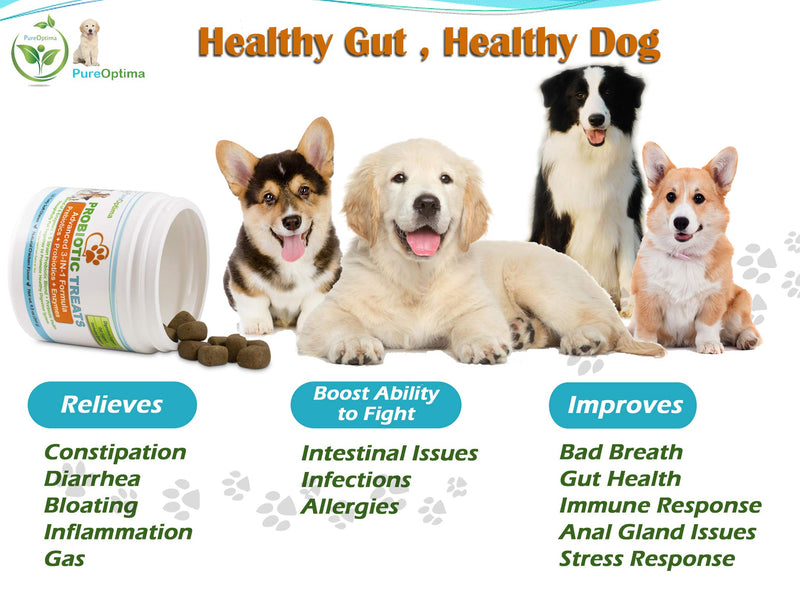 Probiotics Chews for Dogs, Digestive Enzymes + Prebiotics Improves Digestion, Diarrhea, Constipation, Gas, Bad Breath, Leaky Gut, Allergy Immunity Daily Supplement 120 Counts - PawsPlanet Australia